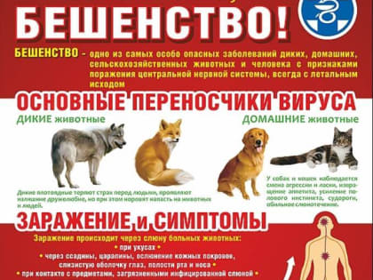 ПАМЯТКА (для населения) БЕШЕНСТВО