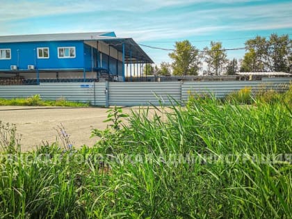 Субботник в Брянске: Присоединяйтесь к благоустройству города