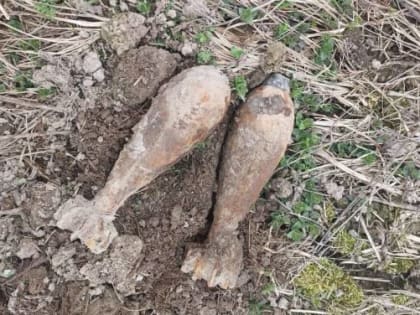 Под Жуковкой обезвредили две миномётные мины