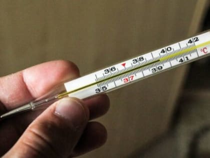 В Новозыбкове с начала эпидсезона зарегистрировано 67 случаев гриппа