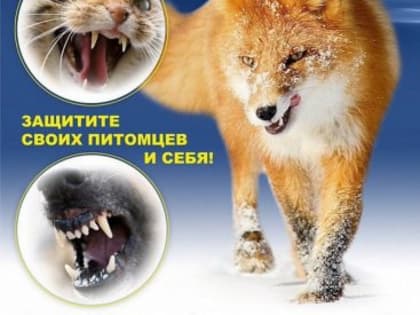 Бешенство — это особо опасное острое вирусное инфекционное заболевание с абсолютной летальностью