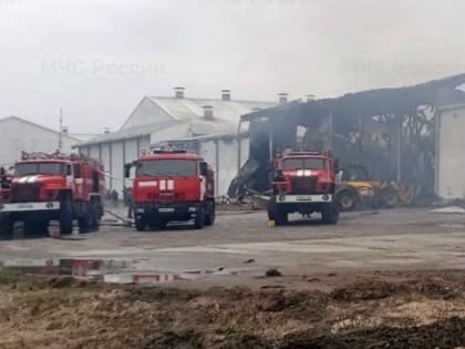 В Брянской области произошел крупный пожар на птицефабрике