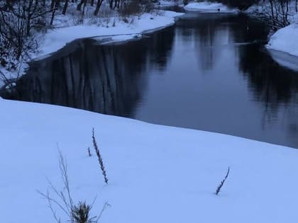 Синоптики предсказали мягкий и снежный февраль в Брянской области