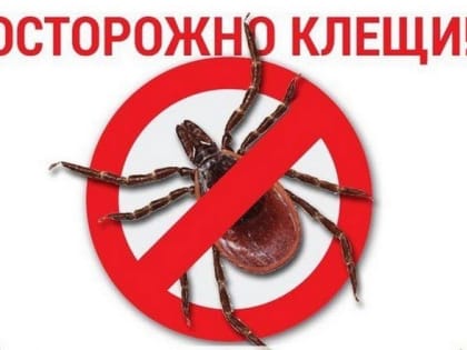 ОСТОРОЖНО, КЛЕЩИ!