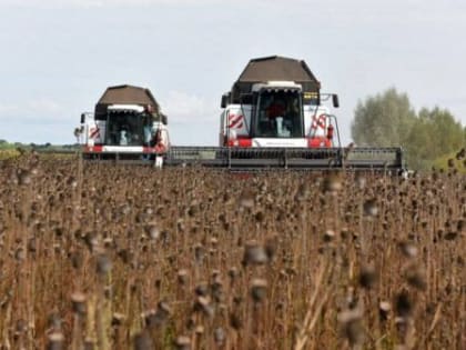 Представители Минпромторга России побывали на маковых полях Брянщины   