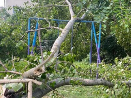 Упавшие деревья и потоп: после жары и шквалистого ветра Брянск накрыл сильнейший ливень