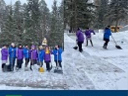 В рамках акции «Память поколений» волонтёры Центра по развитию добровольческого движения и общественных инициатив Дятьковского района в ходе акции очистили от снега «Мемориал совет