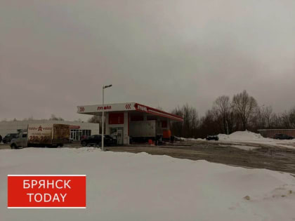 Выяснилось, что будет в Брянской области с ценами на бензин