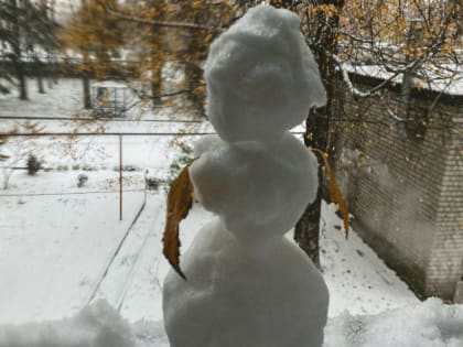 Брянцам в пятницу пообещали дождь с мокрым снегом