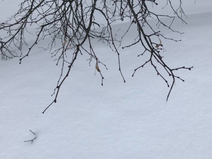 Жителей Брянской области ударят температурные качели