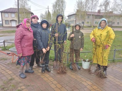 Акция «Семейный сад»