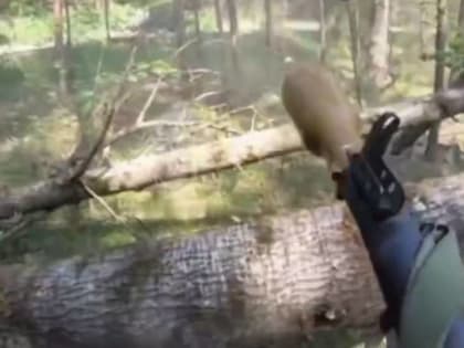Появилось видео обстрела боевиками пограничников, снятое якобы в брянском лесу