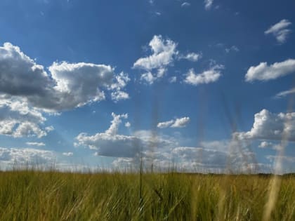Обещанная жителям Брянской области 30-градусная жара немного отступит