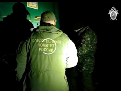 Следственный комитет опубликовал видео с места крушения поезда под Брянском