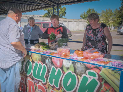 Сельскохозяйственные ярмарки в Брянске открываются в субботу