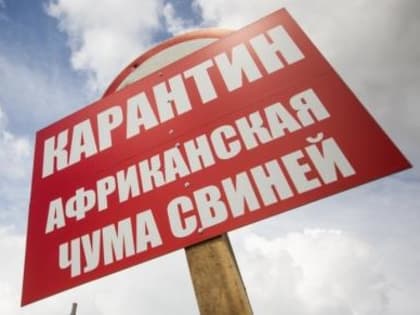 ЗАБОЛЕВАНИЕ СВИНЕЙ, О КОТОРОМ ДОЛЖЕН ЗНАТЬ КАЖДЫЙ
