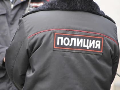 Под Клинцами 16-летний подросток обчистил дачный участок