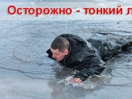 ИНФОРМАЦИЯ ЛЮБИТЕЛЯМ ПОДВОДНОГО ЛОВА РЫБЫ