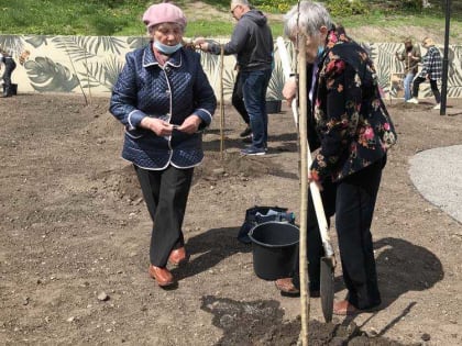 Брянцам напомнили о других изменениях в пенсионном законодательстве