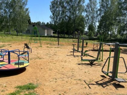 В клетнянском селе детскую площадку забыли обработать от клещей
