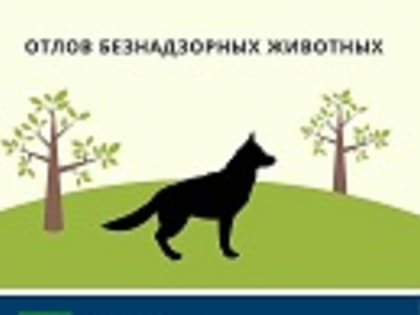 ВНИМАНИЕ!!! Отлов животных без владельцев!