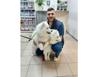 В Брянскую ветеринарную клинику поступила вакцина против бешенства «АРРИАХ- Рабивак» производства ФГБУ «ВНИИЗЖ»