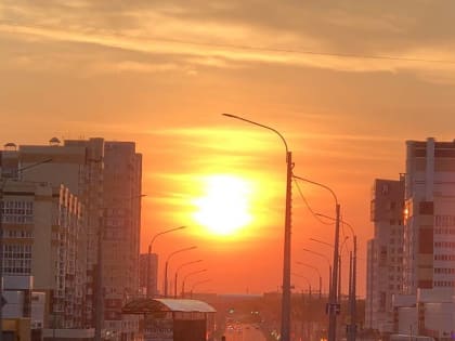 Брянская область попала под угрозу парадоксального арктического вторжения