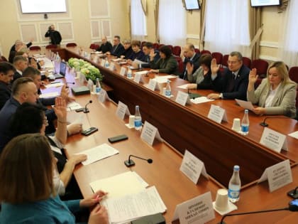 14 января 2025 года аудитор Контрольно-счетной палаты Брянской области Ольга Савченко приняла участие в заседании комитета Брянской областной Думы по вопросам социальной политики и
