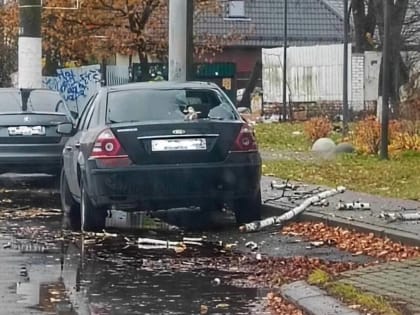 Сильный ветер в Брянске повредил автомобили