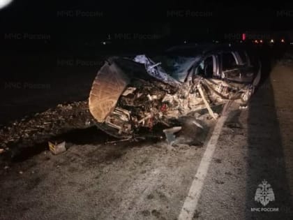 В брянском посёлке Добрунь раненого в жутком ДТП спасатели вырезали из машины