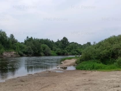 Тело несовершеннолетнего достали брянские спасатели из реки