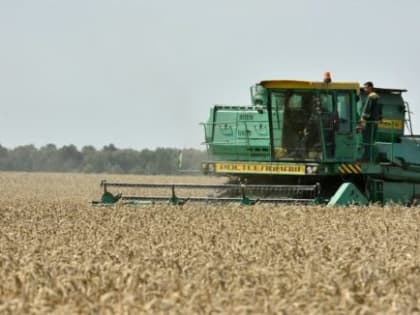 Брянские аграрии смогут получить государственную поддержку