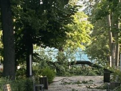 В Новозыбкове устраняют последствия непогоды