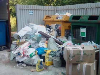 Брянцам могут законодательно запретить выбрасывать мусор в канализацию