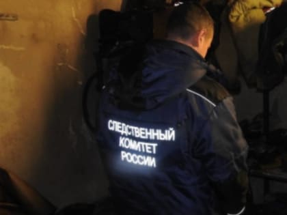 В Брянской области установят обстоятельства смерти 2 мужчин в сгоревшем доме