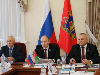 В Брянской областной Думе союзные парламентарии обсудили приграничное сотрудничество