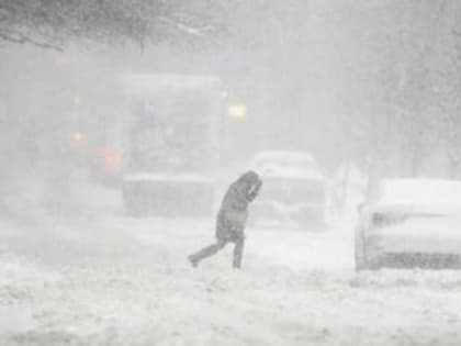 На Брянскую область 11 января обрушится метель