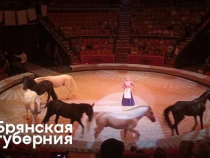 В брянском цирке устроили представление для детей из сёл и участников СВО   
