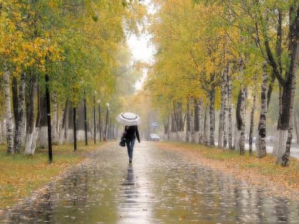 В воскресенье на Брянщине прольётся небольшой дождь