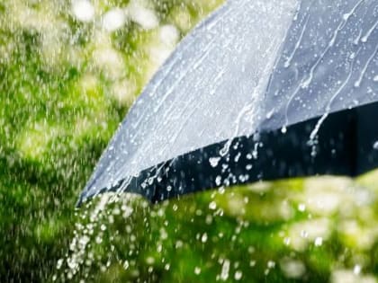 В Брянской области 27 июня ожидаются сильные дожди