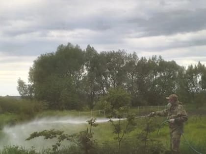 ЗЕЛЕНЫЙ ВРАГ!