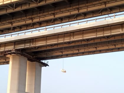 Нашествие божьих коровок в Туле