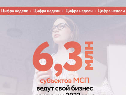 Татьяна Илюшникова: количество субъектов МСП в РФ выросло в 2023 году на 6% и достигло 6,3 млн