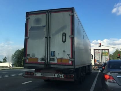 Изменения в спросе и предложении на услуги: новый отчет Авито