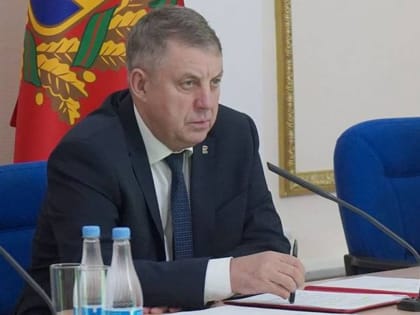 Выборы губернаторов в России: взгляд на Брянскую область