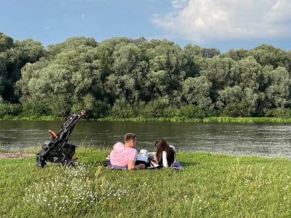 Жителей Брянской области ждёт «морковный» июль