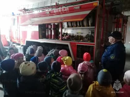 Брянские пожарные учили школьников азам безопасности