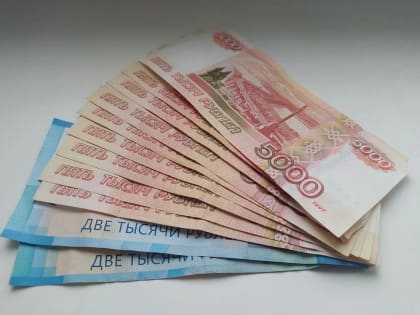 Брянские предприниматели получили более 147,2 млн рублей микрозаймов через сервис МСП.РФ