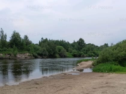 Из брянской реки Ипуть достали тело погибшего подростка