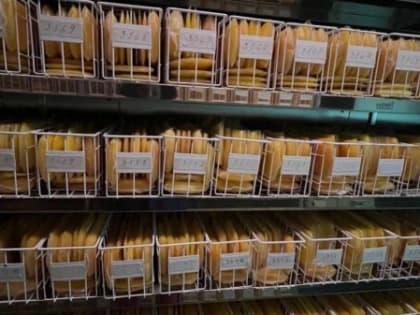 Брянскую станцию переливания крови за неделю посетили 517 доноров